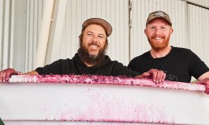 Black and Ginger Wines